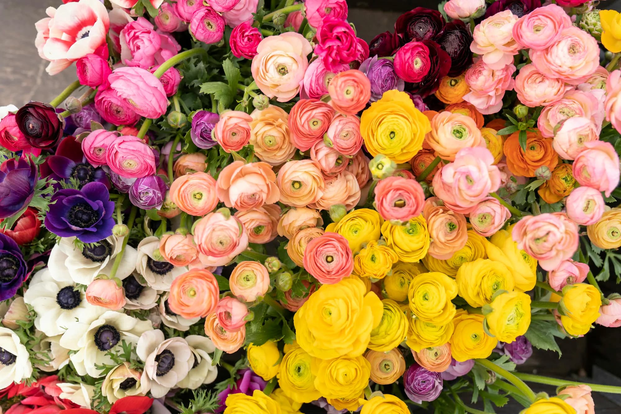 گل برای جشن و تبریک
