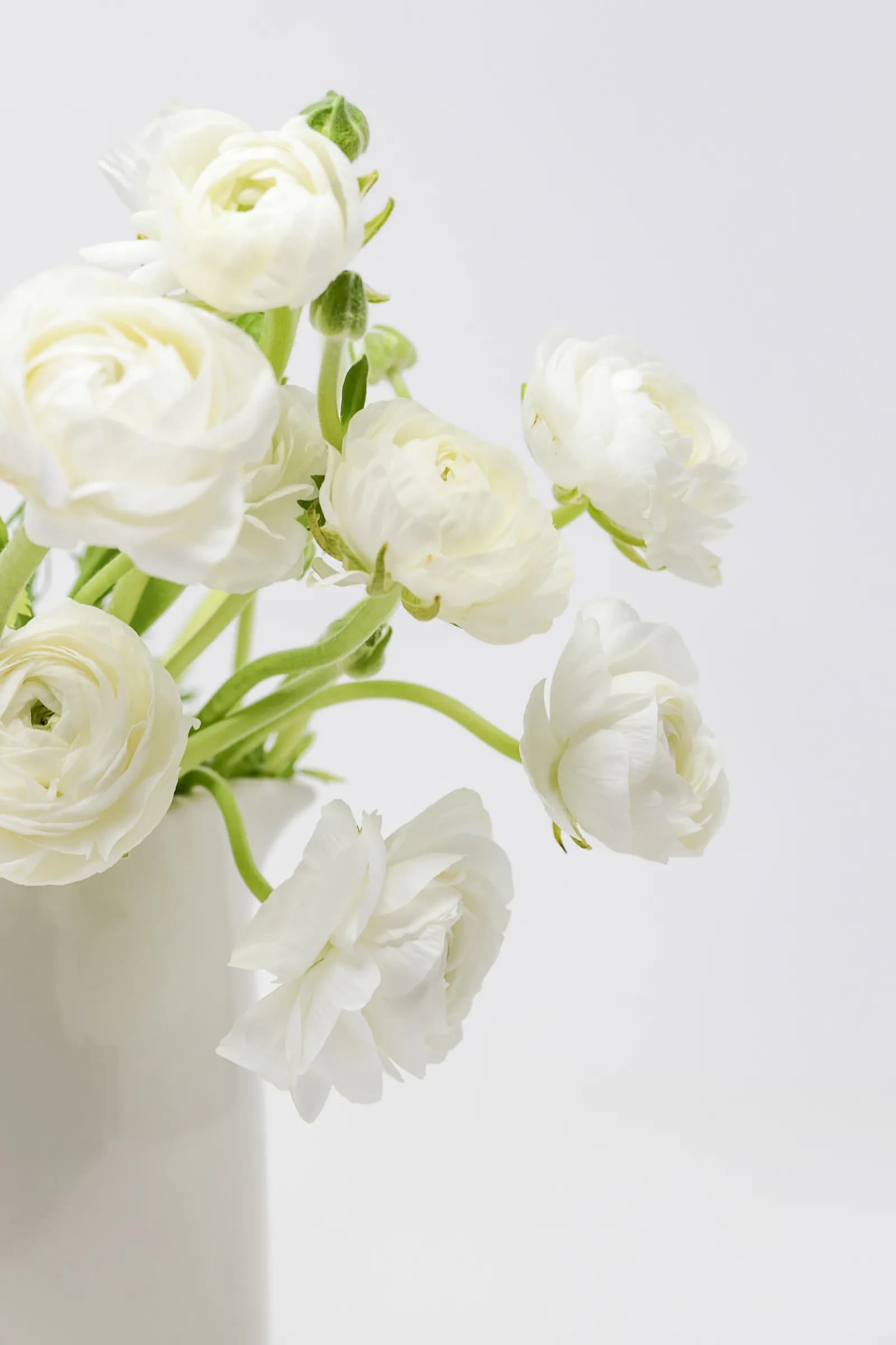گل برای قدردانی
